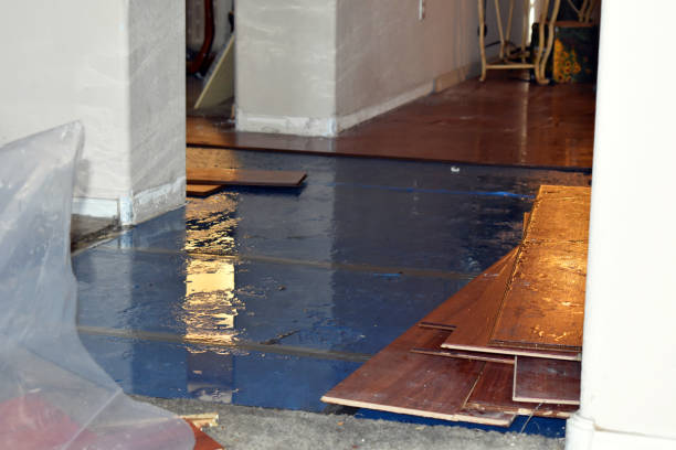Professional Basement Flood Cleanup technician working in Harrisburg, PA